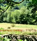 Парцел в Ловеч, с. Гложене