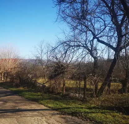 Photo 2 — Plot in Oblast Lovech, Golyama Jelyazna