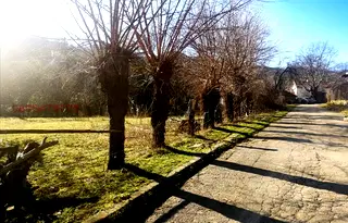 Парцел в Ловеч, с. Голяма Желязна
