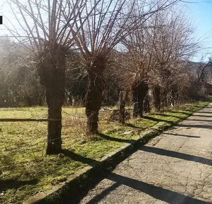 Photo 3 — Plot in Oblast Lovech, Golyama Jelyazna