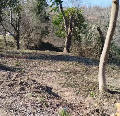 Photo 3 — Plot in Oblast Lovech, Golyama Jelyazna