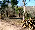 Снимка 3 — Парцел в Ловеч, с. Голяма Желязна