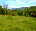 Снимка 3 — Парцел в Ловеч, с. Горно трапе