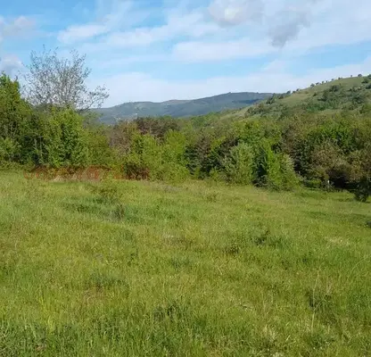 Photo 3 — Plot in Oblast Lovech, Gorno Trape
