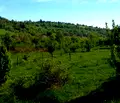 Снимка 4 — Парцел в Ловеч, с. Горно трапе