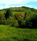 Парцел в Ловеч, с. Горно трапе