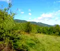 Снимка 3 — Парцел в Ловеч, с. Горно трапе