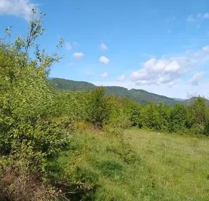 Снимка 3 — Парцел в Ловеч, с. Горно трапе