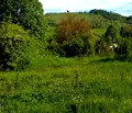 Снимка 4 — Парцел в Ловеч, с. Горно трапе