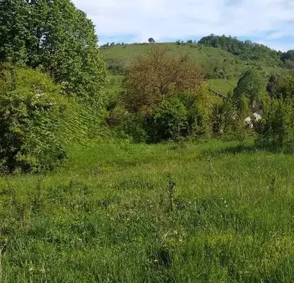 Снимка 4 — Парцел в Ловеч, с. Горно трапе