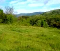 Снимка 5 — Парцел в Ловеч, с. Горно трапе