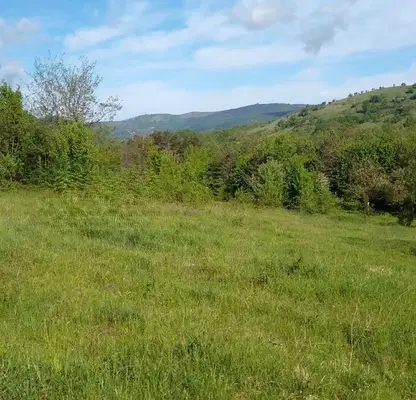 Снимка 5 — Парцел в Ловеч, с. Горно трапе