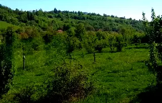 Парцел в Ловеч, с. Горно трапе