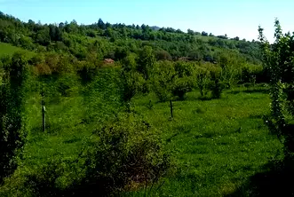 Парцел в Ловеч, с. Горно трапе