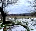 Снимка 3 — Парцел в Ловеч, с. Изворче