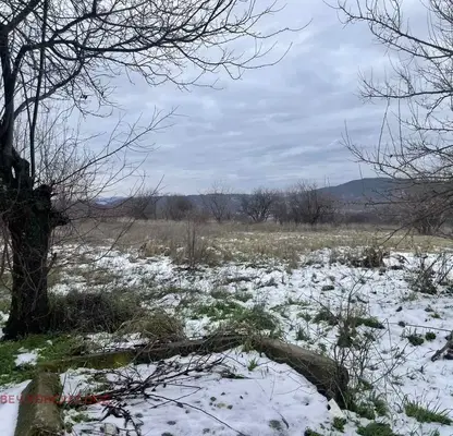 Снимка 3 — Парцел в Ловеч, с. Изворче