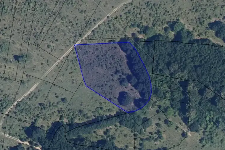 Plot in Oblast Lovech, Kaleica