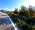 Снимка 2 — Парцел в Ловеч, с. Ломец