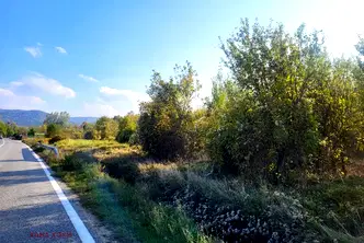 Парцел в Ловеч, с. Ломец