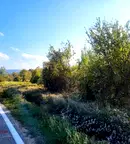 Парцел в Ловеч, с. Ломец
