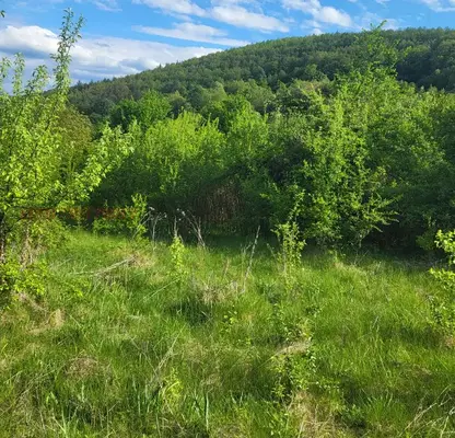 Photo 2 — Plot in Lovech, s. Lomets