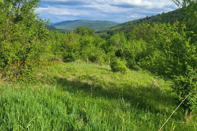 Plot in Lovech, s. Lomets
