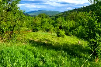 Парцел в Ловеч, с. Ломец