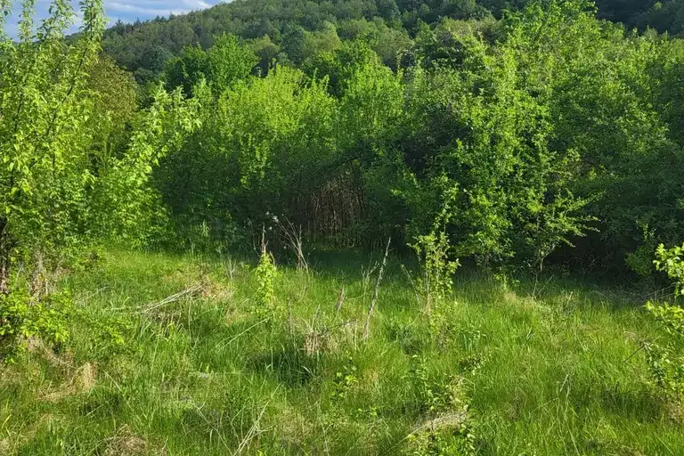 Парцел в Ловеч, с. Ломец
