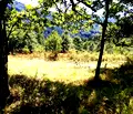 Снимка 3 — Парцел в Ловеч, с. Орешак