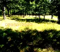 Снимка 4 — Парцел в Ловеч, с. Орешак