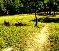 Снимка 5 — Парцел в Ловеч, с. Орешак