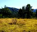 Снимка 2 — Парцел в Ловеч, с. Орешак