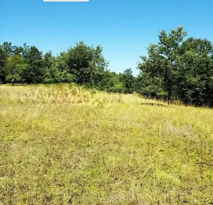Photo 3 — Plot in Oblast Lovech, Oreshak