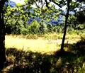 Снимка 5 — Парцел в Ловеч, с. Орешак