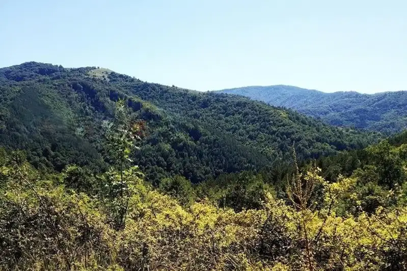 Парцел в Ловеч, с. Орешак