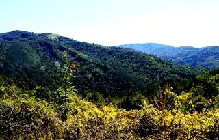 Парцел в Ловеч, с. Орешак
