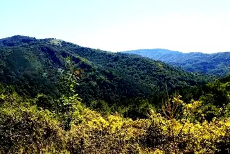 Парцел в Ловеч, с. Орешак
