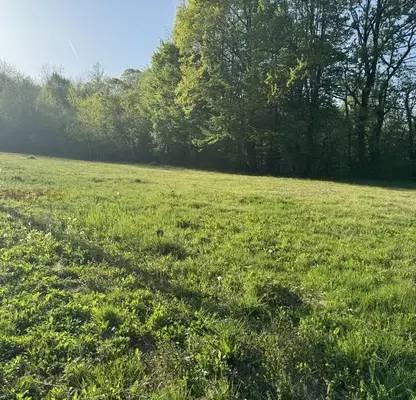 Photo 3 — Plot in Oblast Lovech, Oreshak
