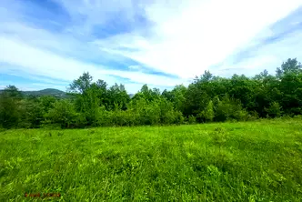 Парцел в Ловеч, с. Патрешко