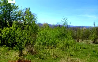 Парцел в Ловеч, с. Патрешко
