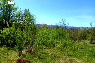 Парцел в Ловеч, с. Патрешко