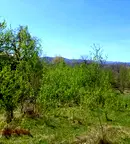 Парцел в Ловеч, с. Патрешко