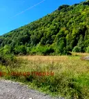 Парцел в Ловеч, с. Рибарица