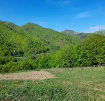 Photo 4 — Plot in Oblast Lovech, Ribarica