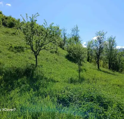 Photo 5 — Plot in Oblast Lovech, Ribarica