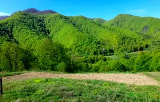 Парцел в Ловеч, с. Рибарица