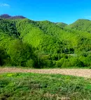 Парцел в Ловеч, с. Рибарица
