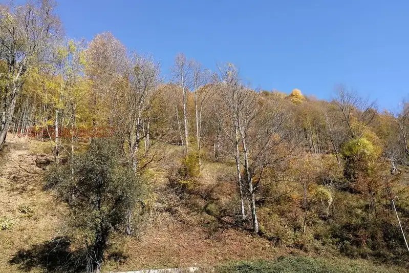 Plot in Oblast Lovech, Ribarica
