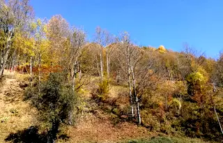 Парцел в Ловеч, с. Рибарица