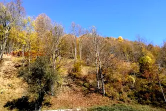 Парцел в Ловеч, с. Рибарица